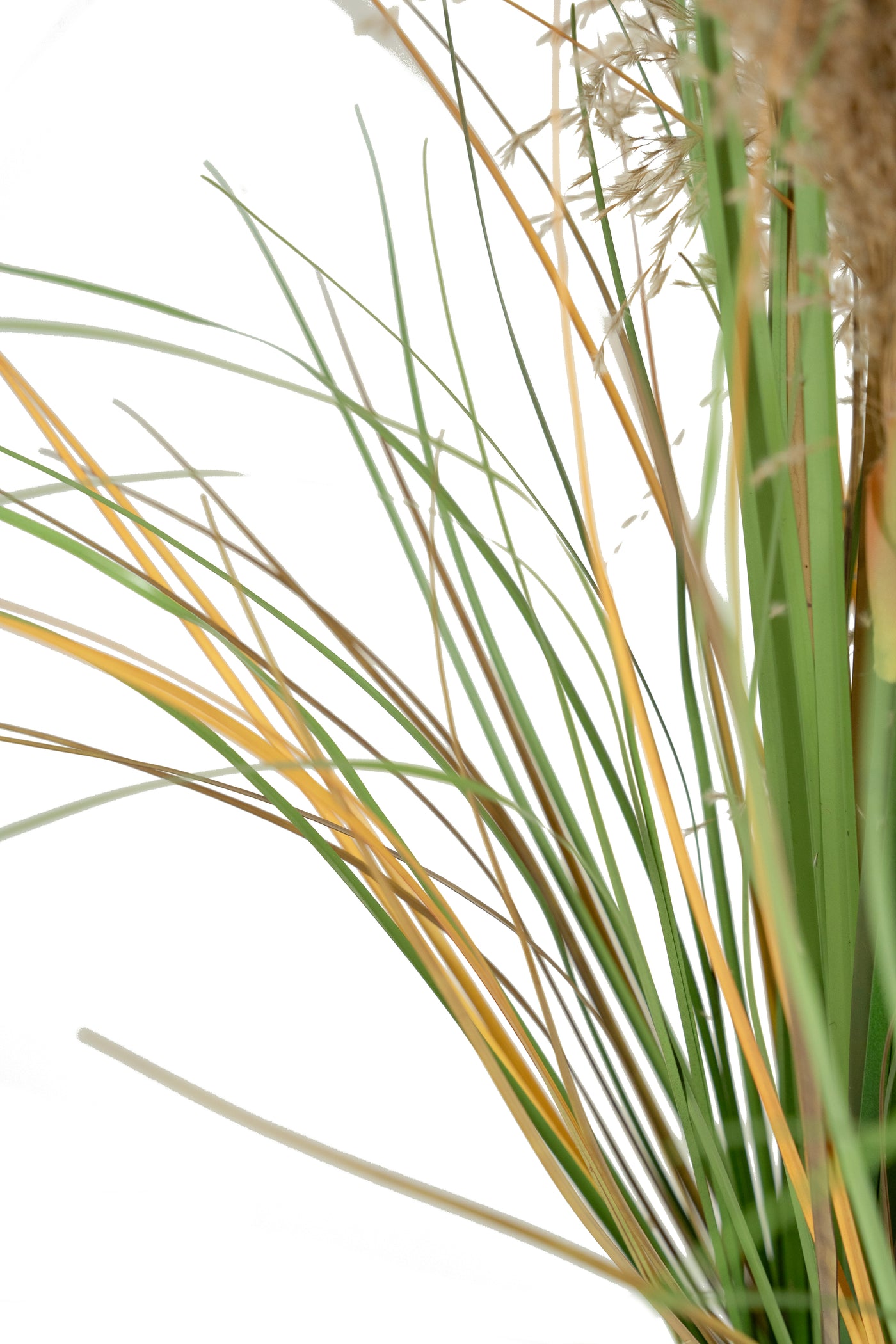 Iarba artificiala Onion 90 cm cu 5 flori naturale de pampas bej