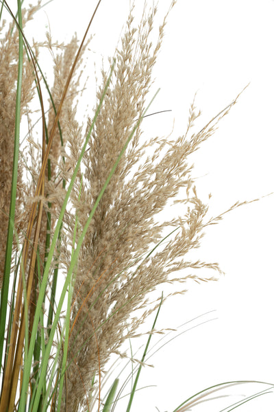 Iarba artificiala Onion 90 cm cu 5 flori naturale de pampas bej