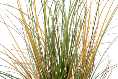 Iarba artificiala Onion 90 cm cu 6 flori de crizantema albe