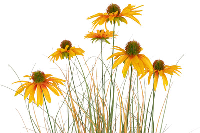 Iarba artificiala Onion 90 cm cu 6 flori de crizantema galbene