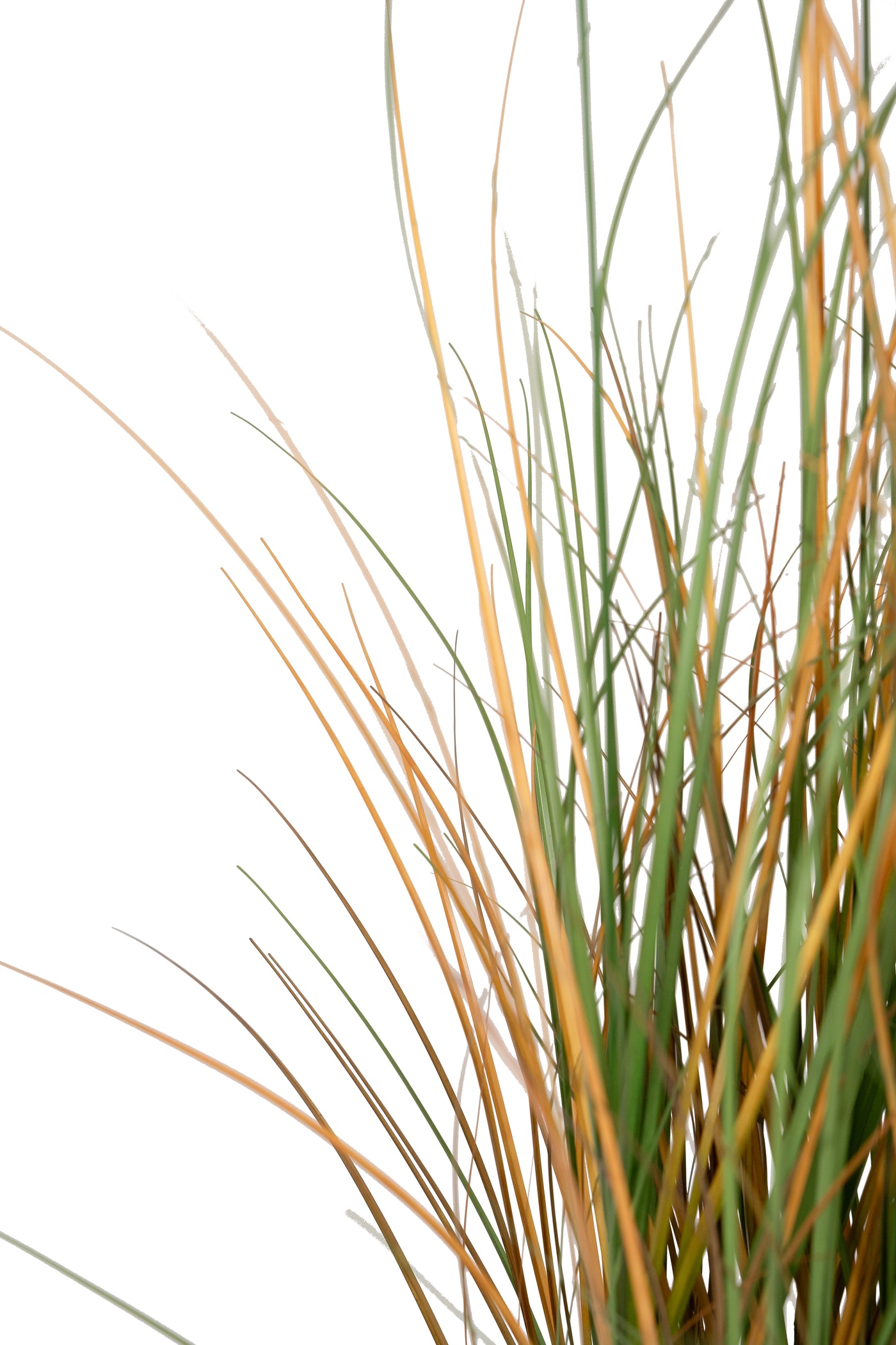 Iarba artificiala Onion 90 cm cu 6 flori de crizantema galbene