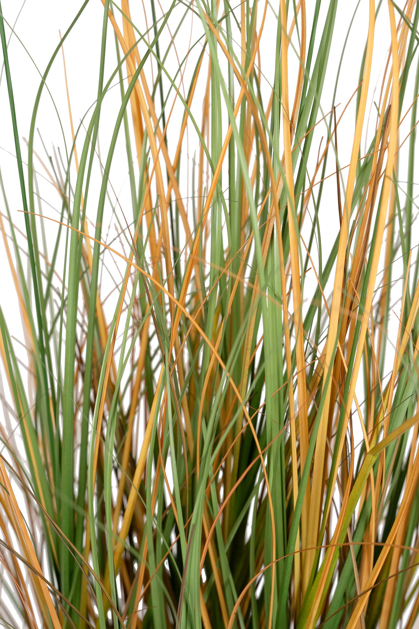 Iarba artificiala Onion 90 cm cu 6 flori de crizantema galbene