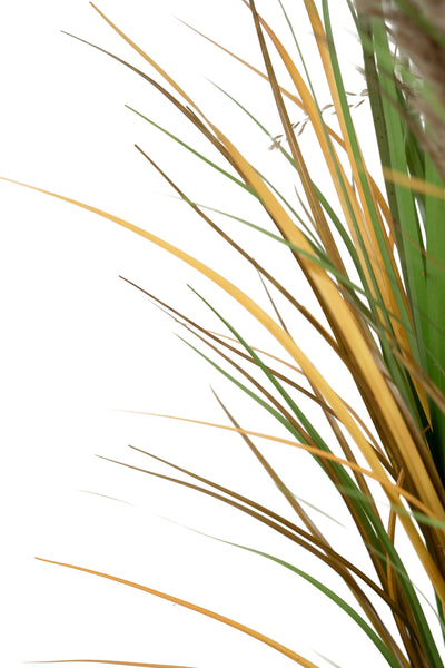 Iarba artificiala Onion 90 cm cu 7 flori naturale de pampas bej
