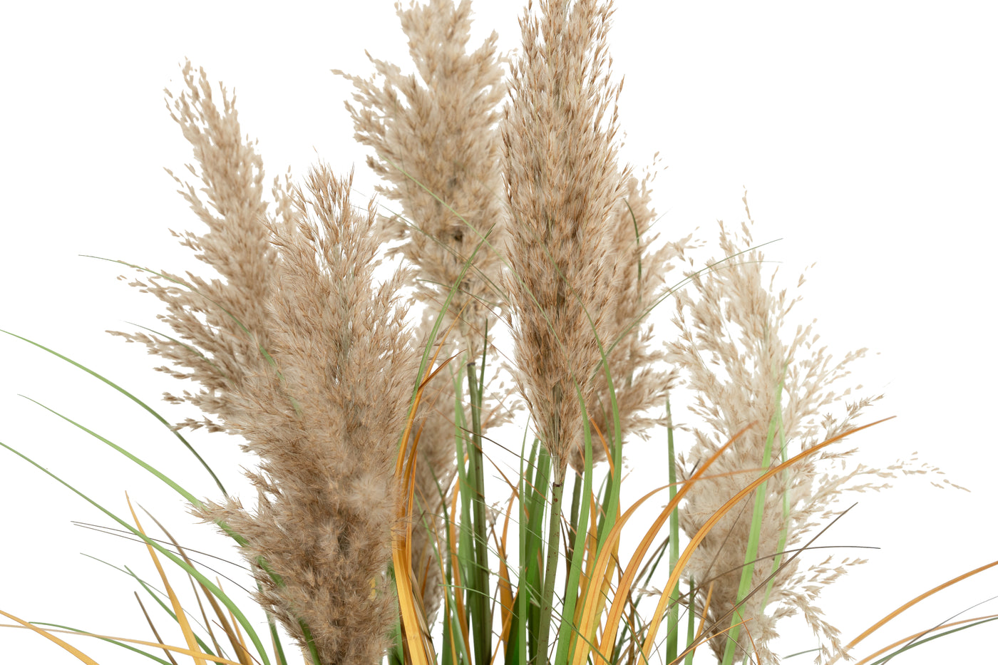 Iarba artificiala Onion 90 cm cu 7 flori naturale de pampas bej