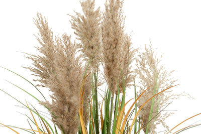 Iarba artificiala Onion 90 cm cu 7 flori naturale de pampas bej
