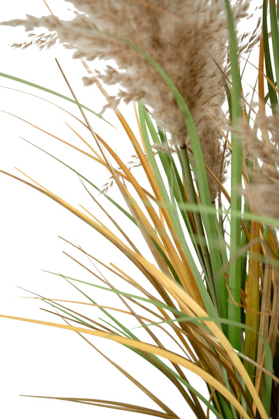 Iarba artificiala Onion 90 cm cu 7 flori naturale de pampas bej