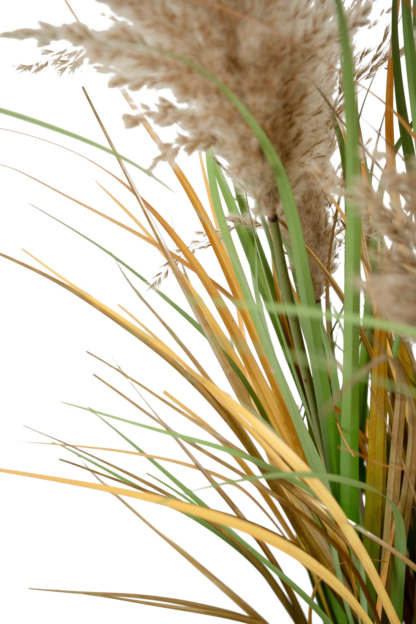 Iarba artificiala Onion 90 cm cu 7 flori naturale de pampas bej