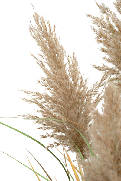 Iarba artificiala Onion 90 cm cu 7 flori naturale de pampas bej