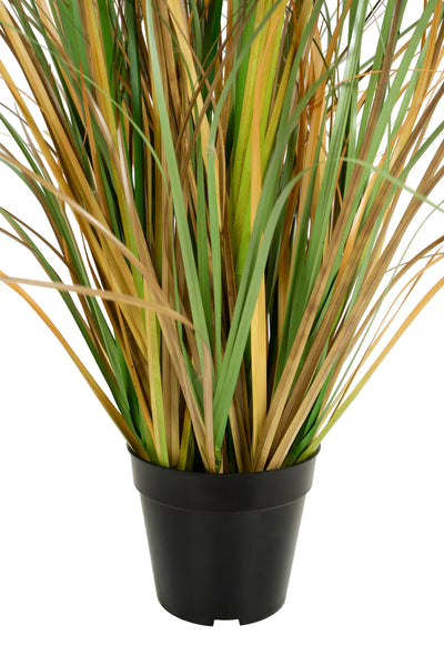 Iarba artificiala Onion 90 cm cu 7 flori naturale de pampas bej