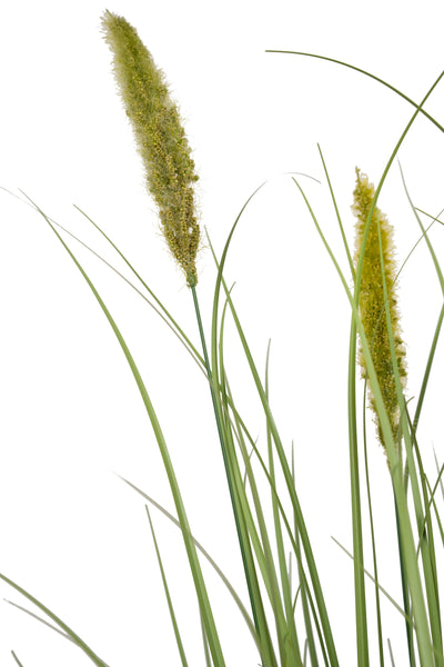 Iarba artificiala Onion Cattail 120 cm cu 7 flori verzi