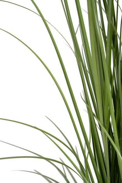 Iarba artificiala Onion Cattail 120 cm cu 7 flori verzi