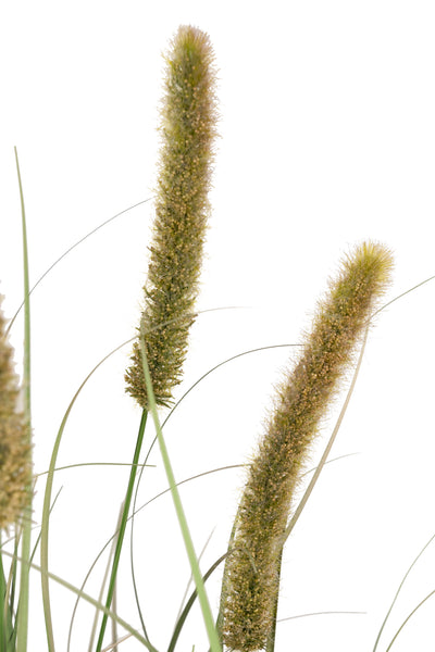 Iarba artificiala Onion Cattail 120 cm cu 8 flori portocalii