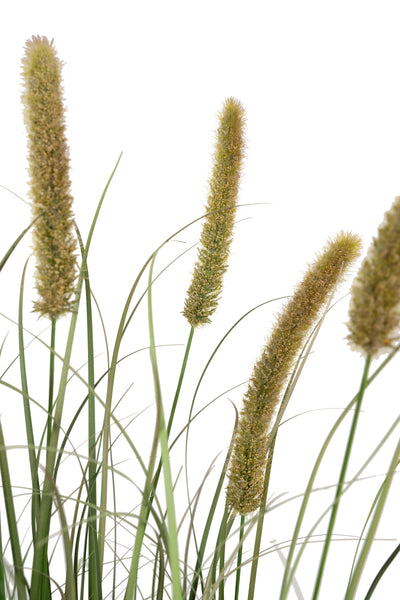 Iarba artificiala Onion Cattail 120 cm cu 8 flori portocalii