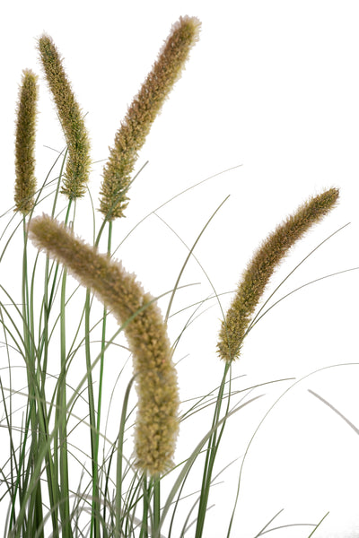 Iarba artificiala Onion Cattail 150 cm cu 10 flori verde cu galben