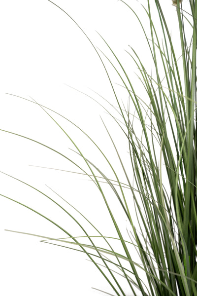 Iarba artificiala Onion Cattail 150 cm cu 10 flori verde cu galben