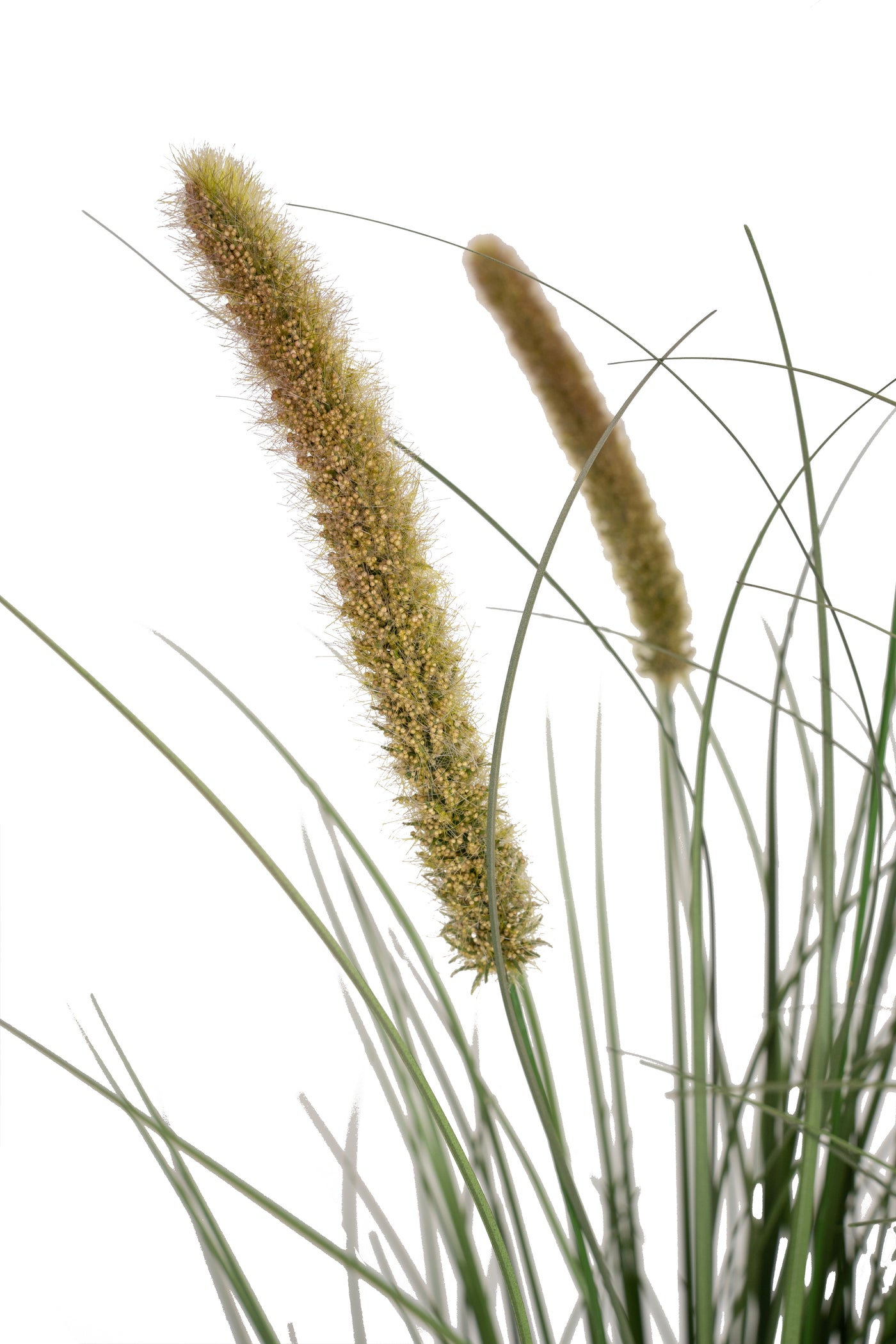 Iarba artificiala Onion Cattail 150 cm cu 10 flori verde cu galben