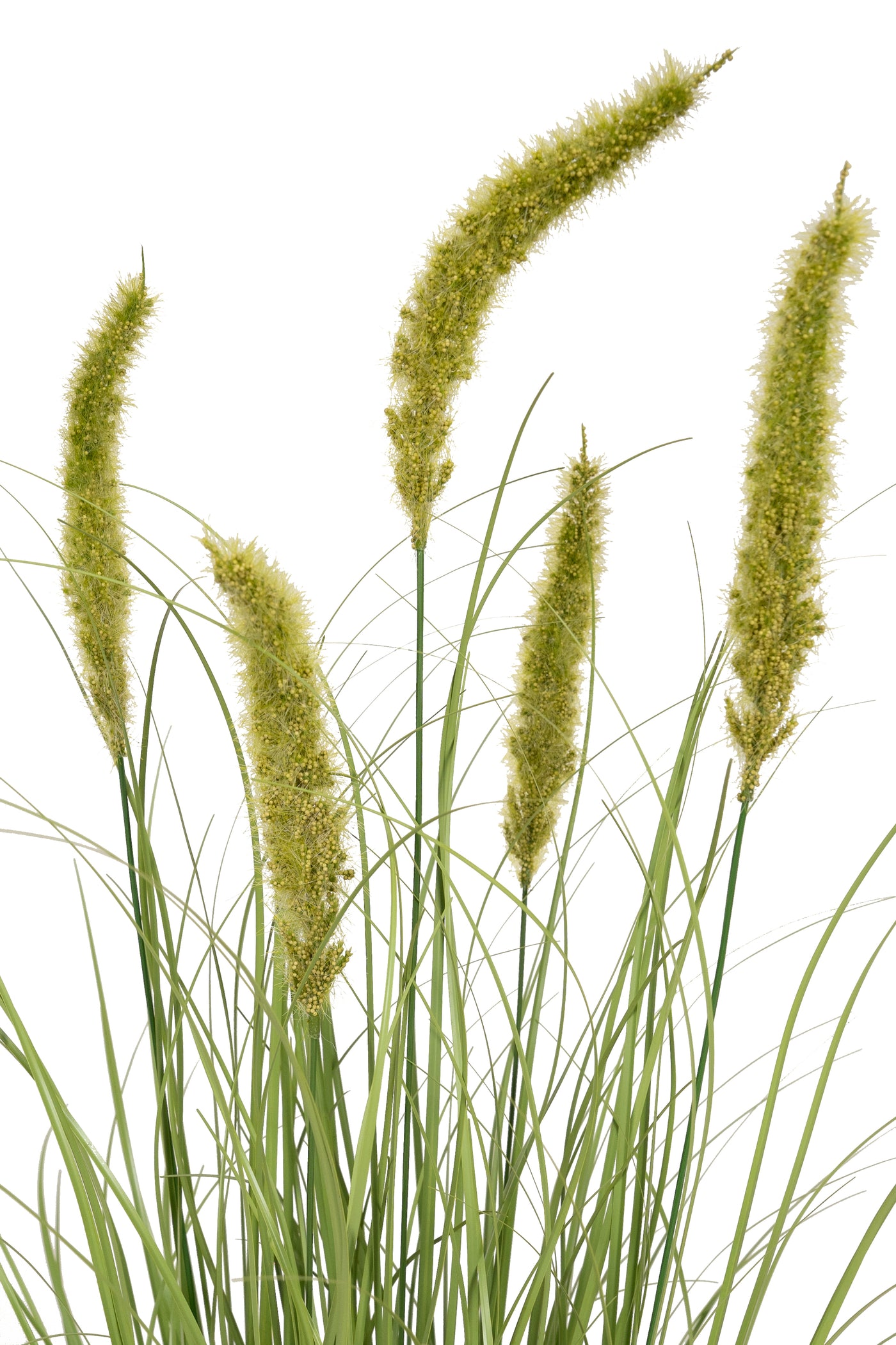 Iarba artificiala Onion Cattail 90 cm cu 5 flori verzi