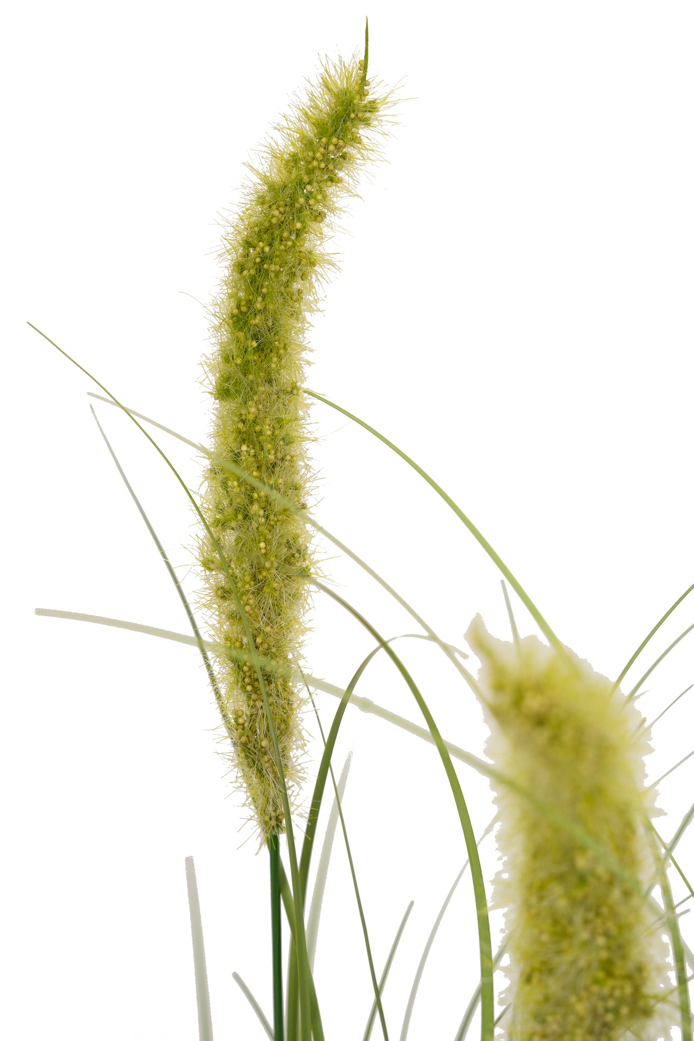 Iarba artificiala Onion Cattail 90 cm cu 5 flori verzi