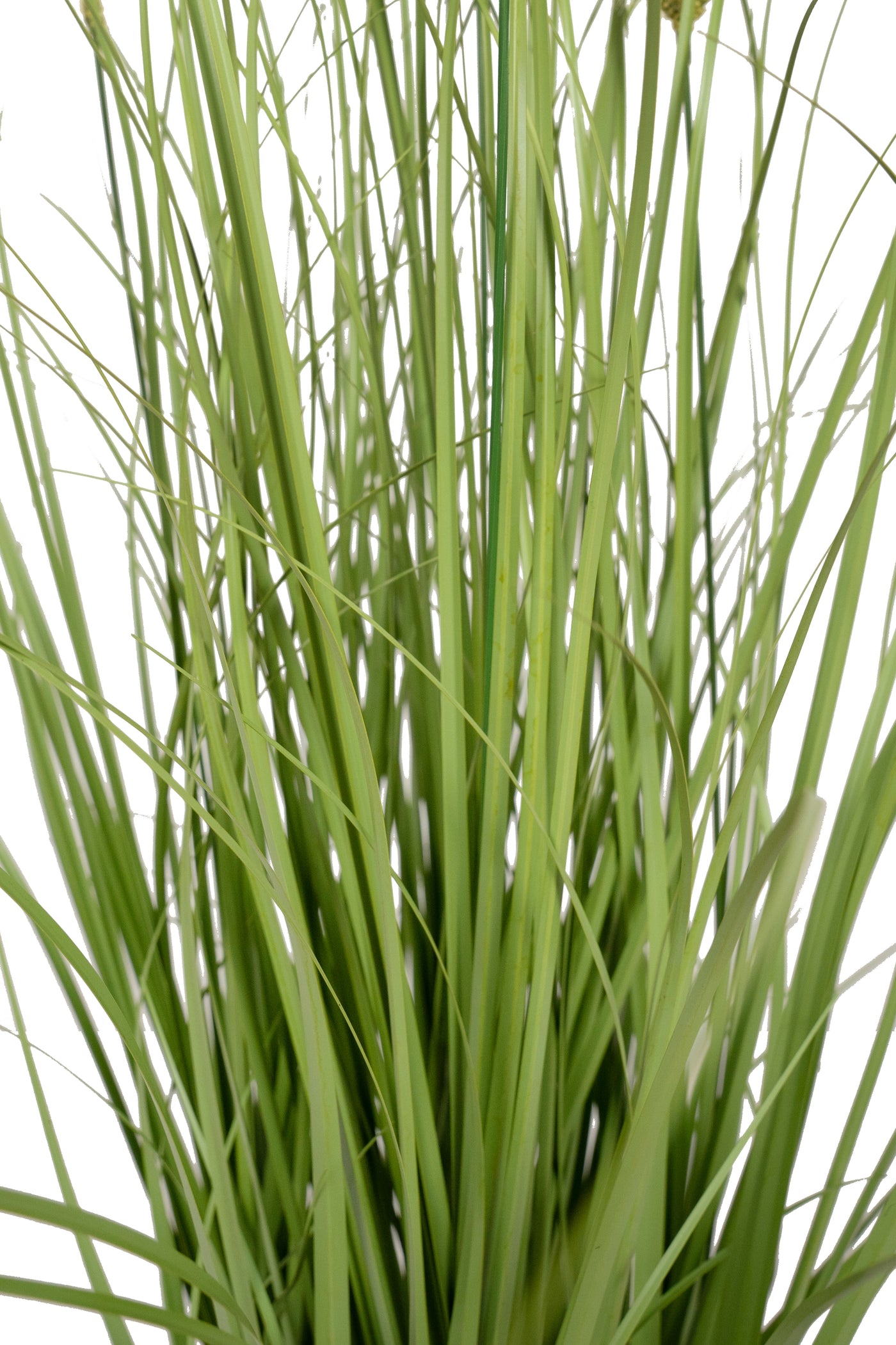 Iarba artificiala Onion Cattail 90 cm cu 5 flori verzi