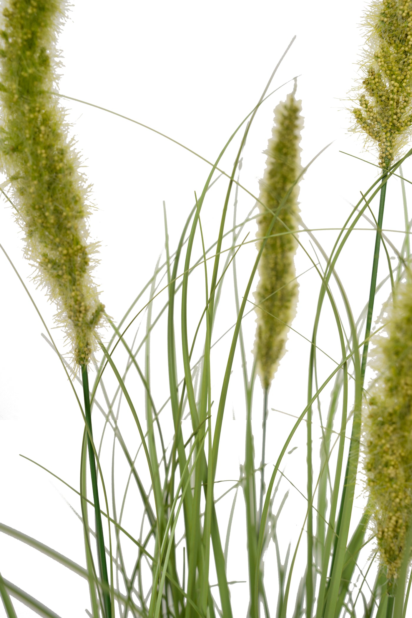 Iarba artificiala Onion Cattail 90 cm cu 5 flori verzi