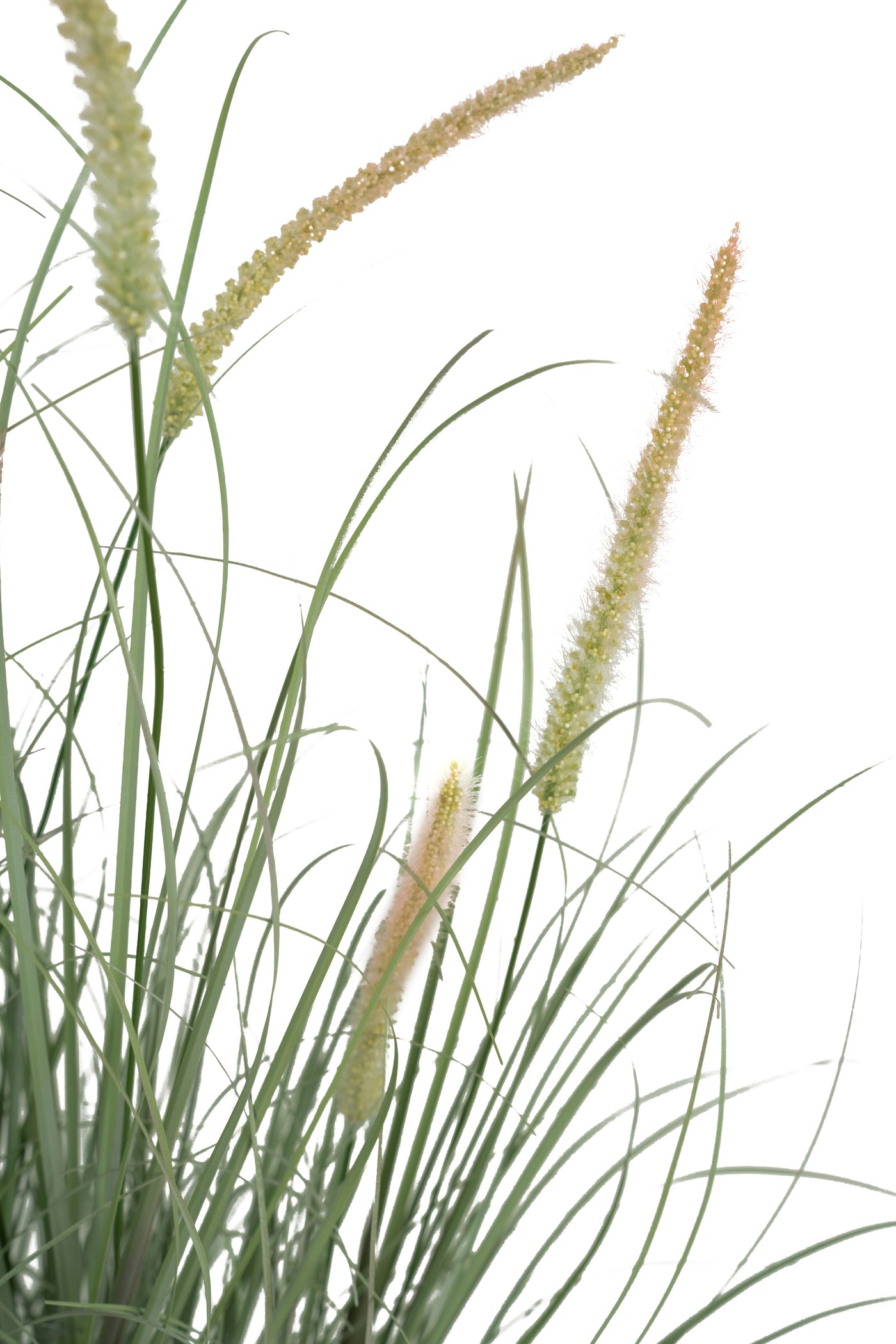Iarba artificiala Onion Dogtail 120 cm cu 17 flori roz