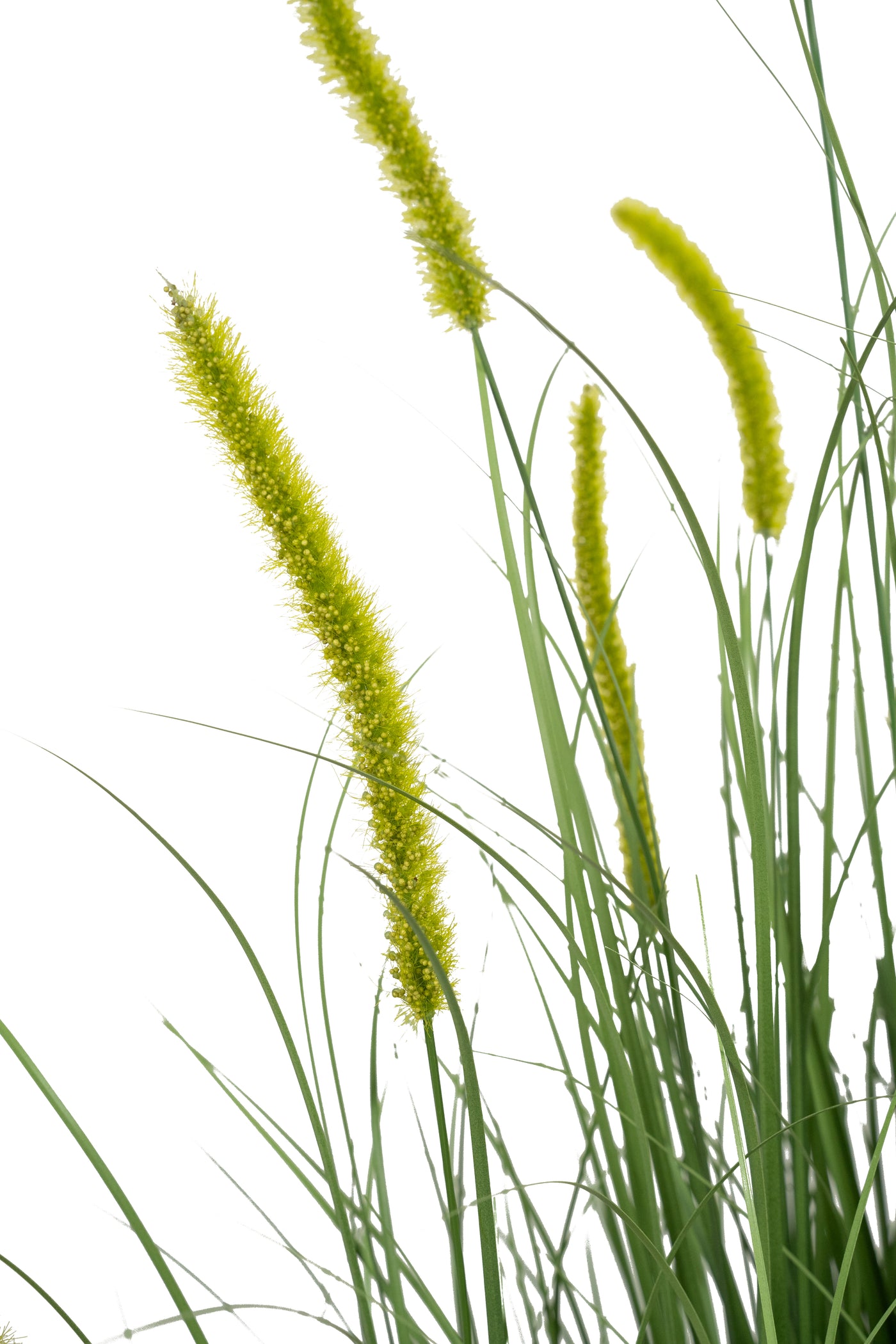 Iarba artificiala Onion Dogtail 120 cm cu 17 flori verzi