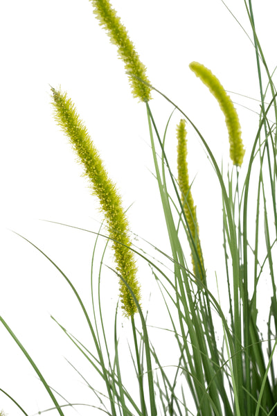Iarba artificiala Onion Dogtail 120 cm cu 17 flori verzi
