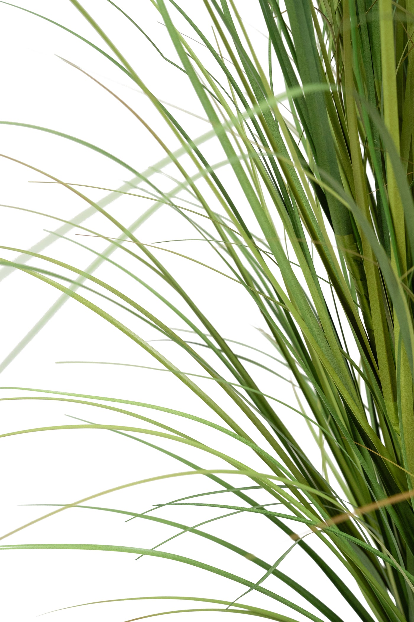 Iarba artificiala Onion Dogtail 150 cm cu 26 flori rosii