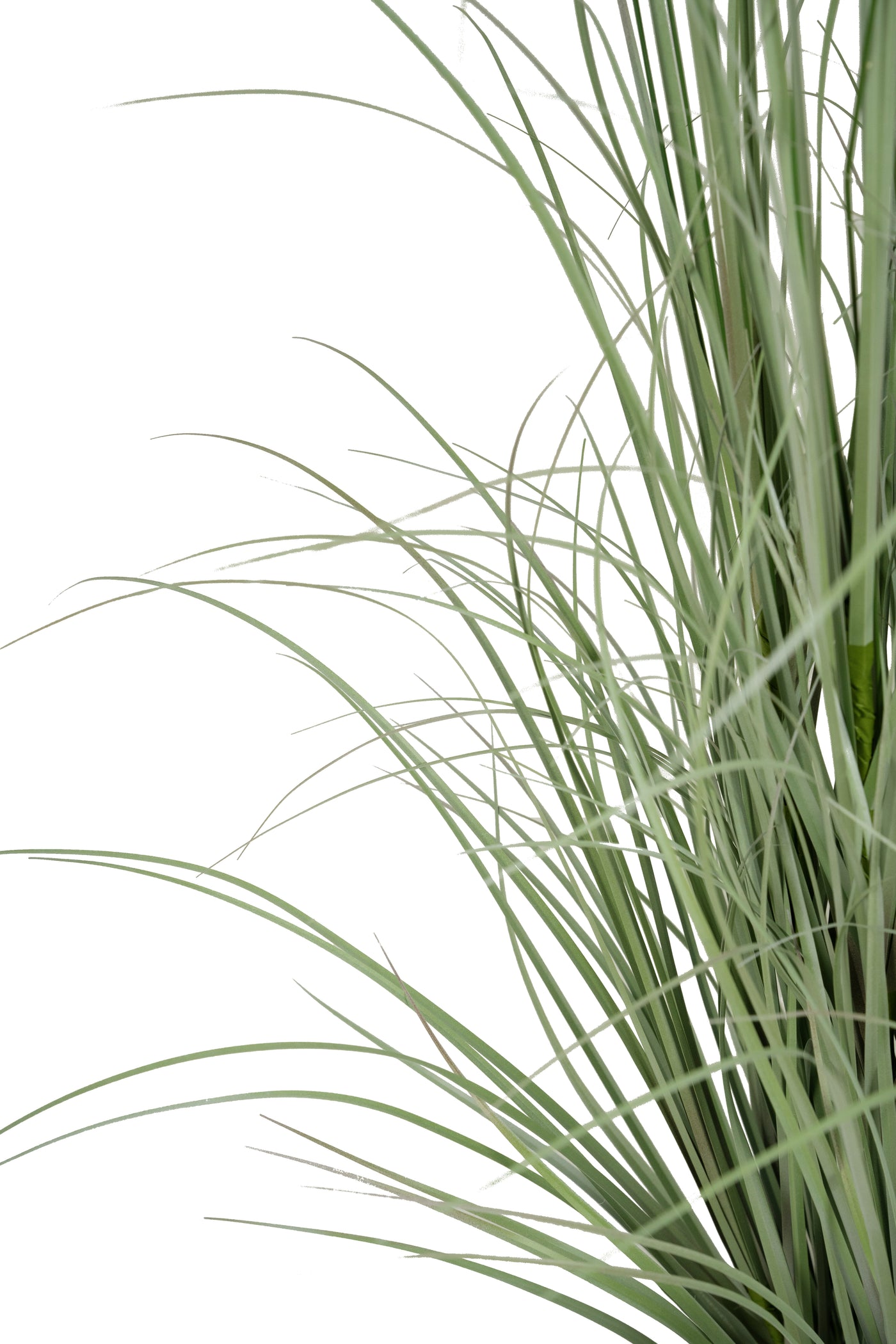 Iarba artificiala Onion Dogtail 150 cm cu 26 flori roz