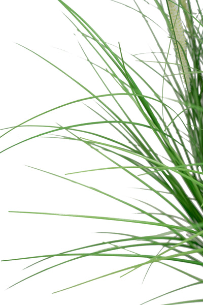 Iarba artificiala Onion Dogtail 81 cm cu 33 flori albe