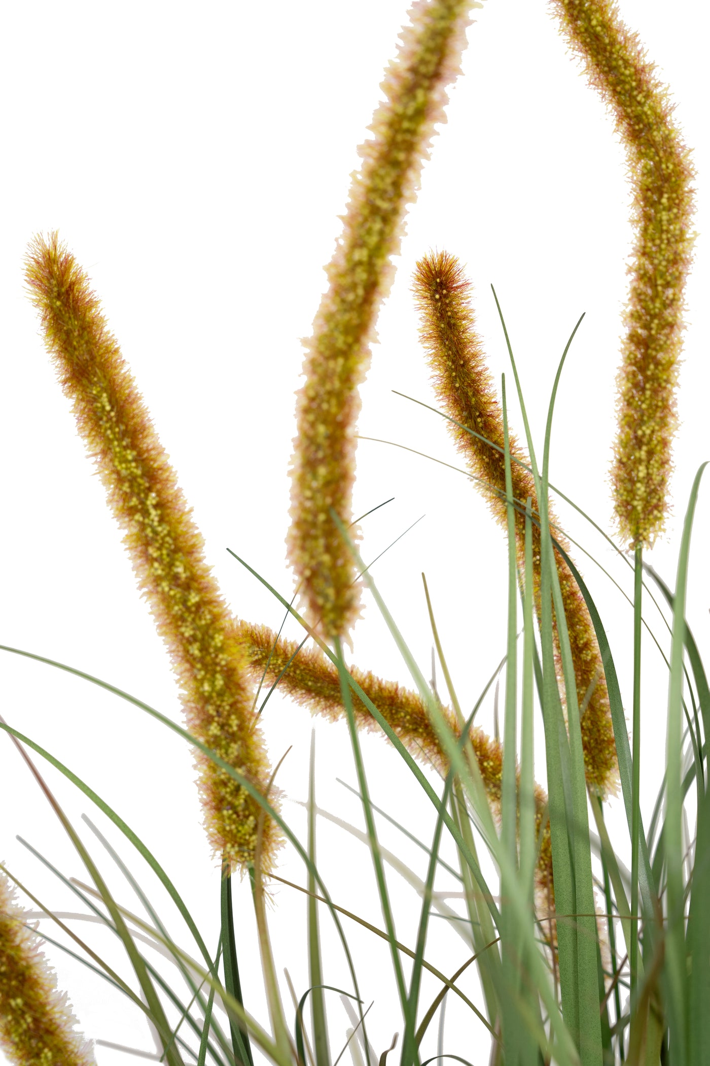 Iarba artificiala Onion Dogtail 90 cm cu 13 flori rosii