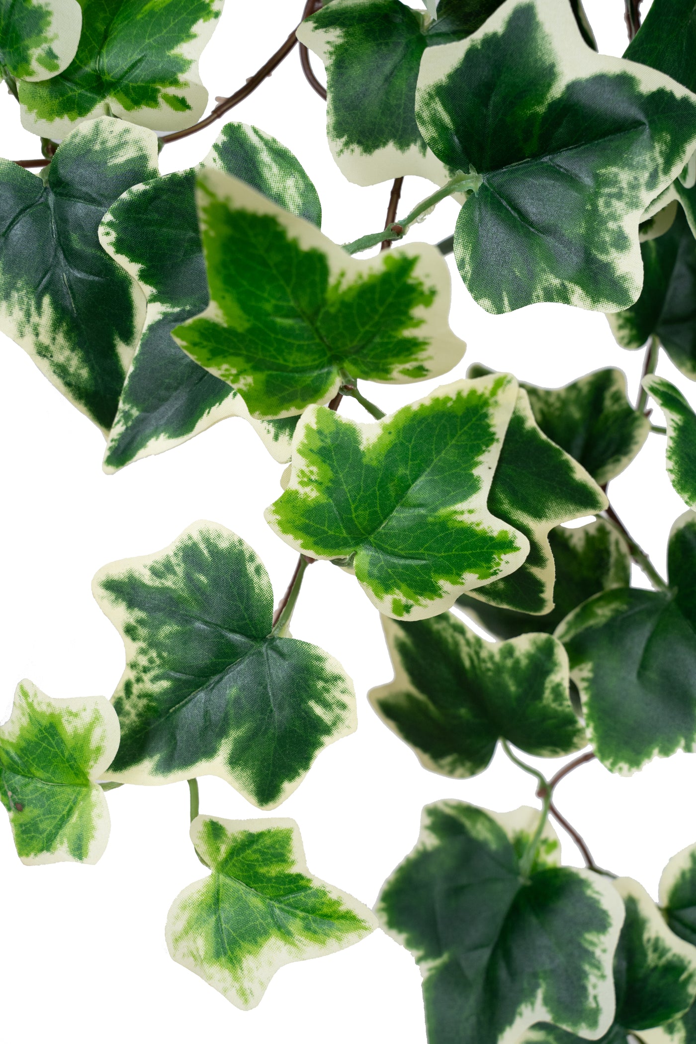 Iedera artificiala H180cm cu 850 frunze verde cu alb