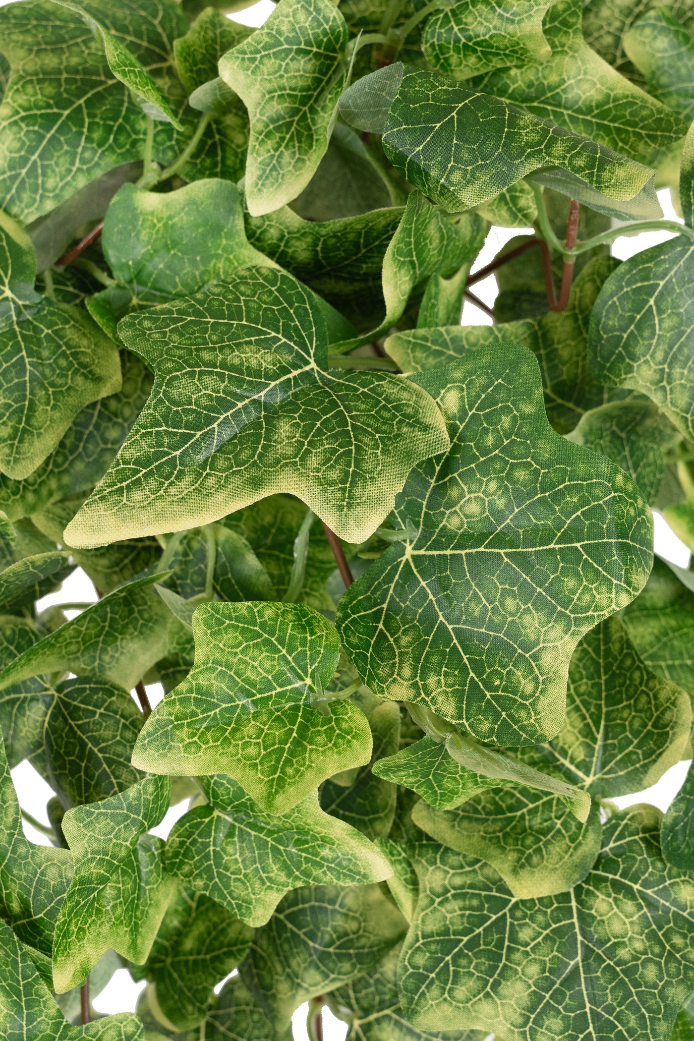 Iedera artificiala H50cm cu 128 frunze verde cu crem