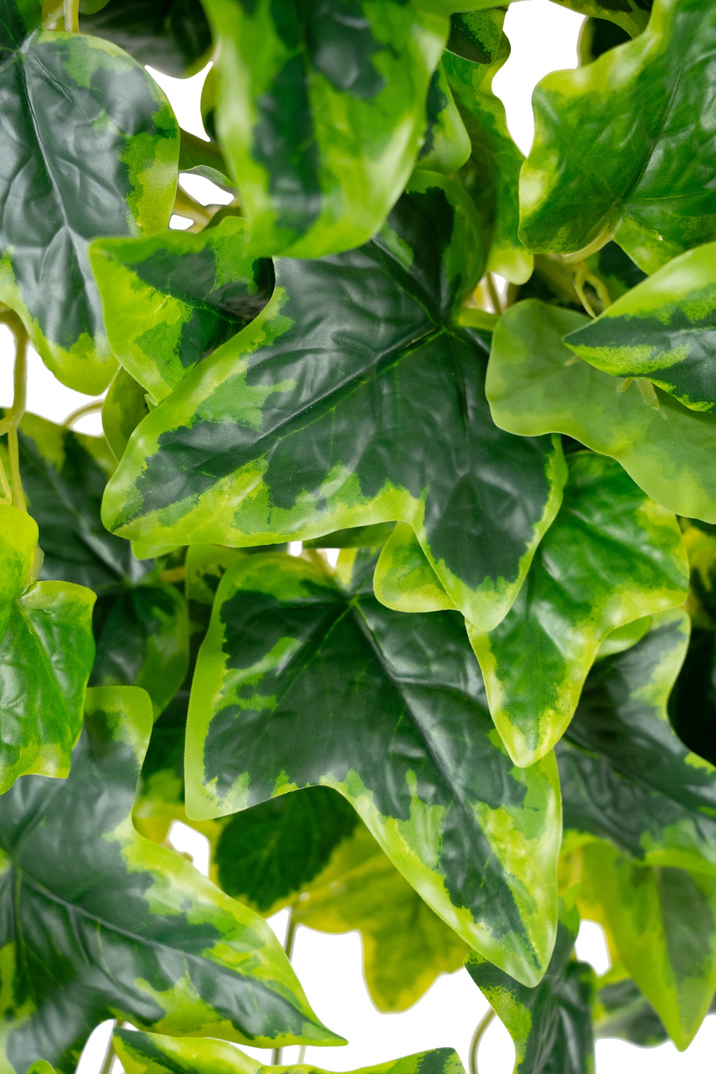 Iedera artificiala H75cm cu frunze verde cu galben pentru exterior cu protectie UV