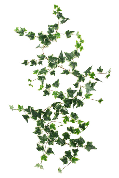 Iedera artificiala H170cm cu 110 frunze verde cu alb