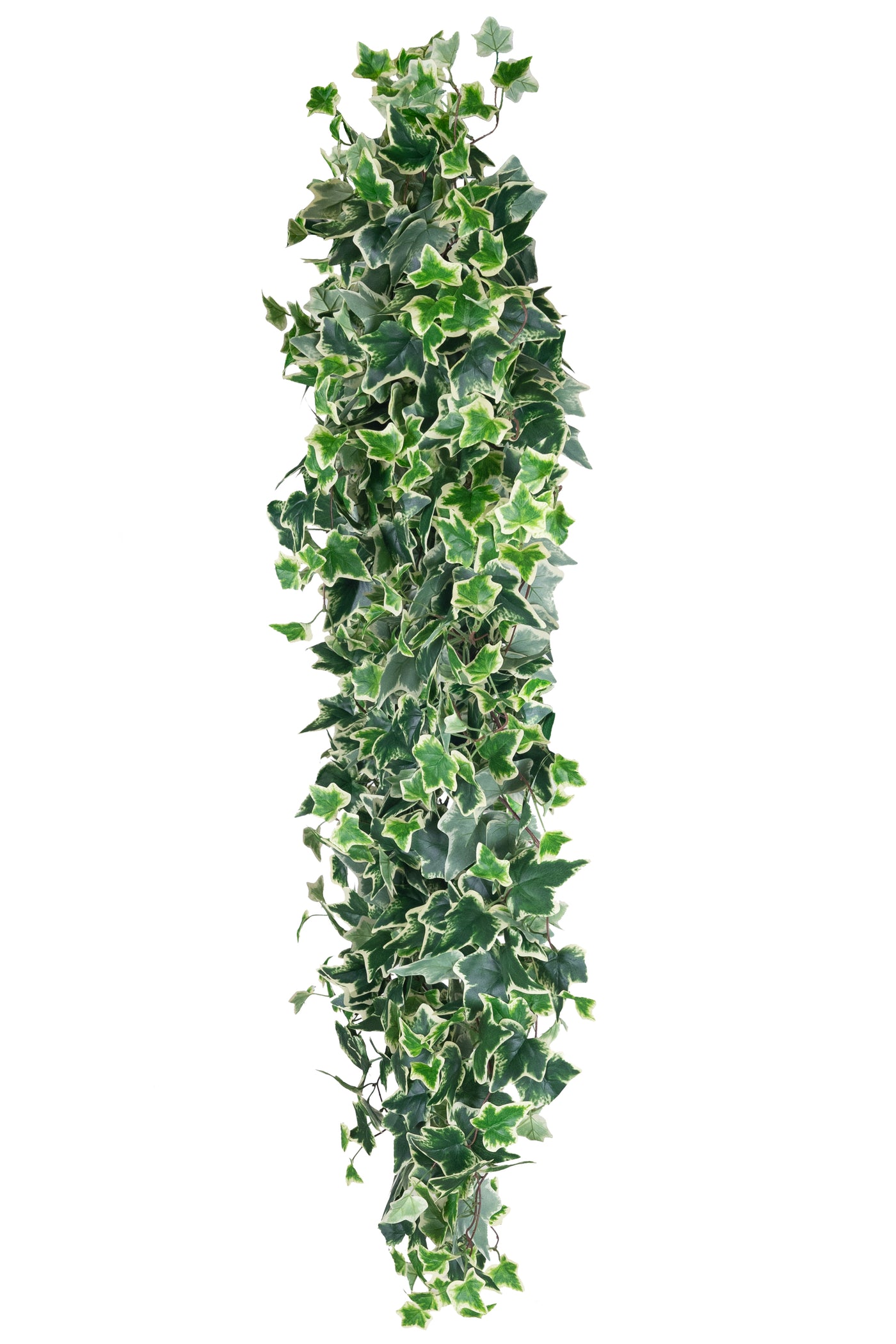 Iedera artificiala H180cm cu 850 frunze verde cu alb