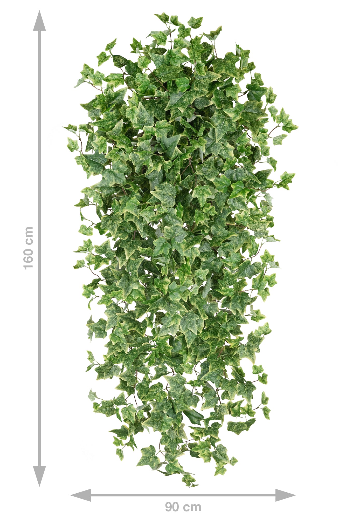 Iedera artificiala H180cm cu 850 frunze verde cu crem