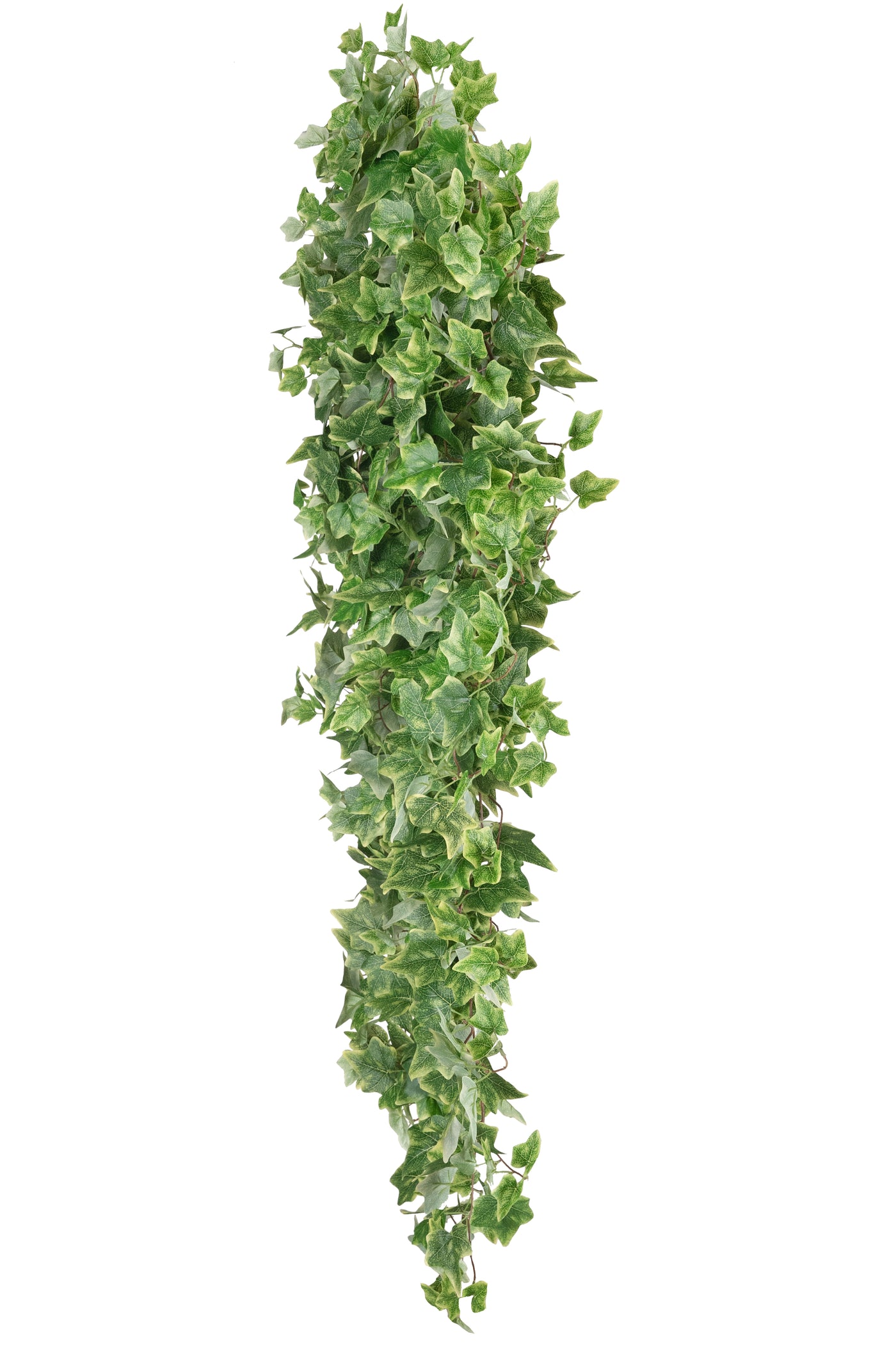 Iedera artificiala H180cm cu 850 frunze verde cu crem