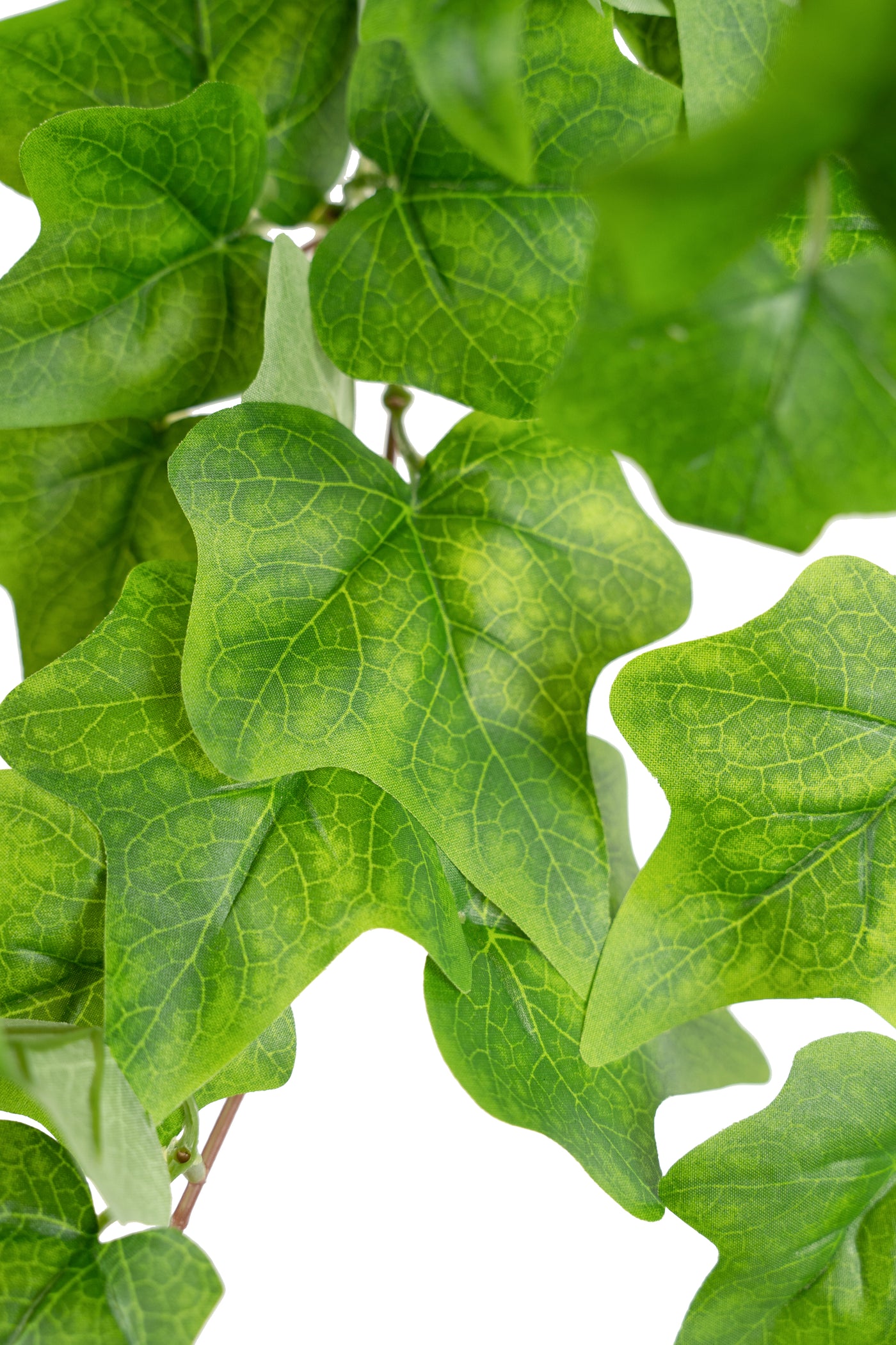 Iedera artificiala H70cm cu 202 frunze verde deschis