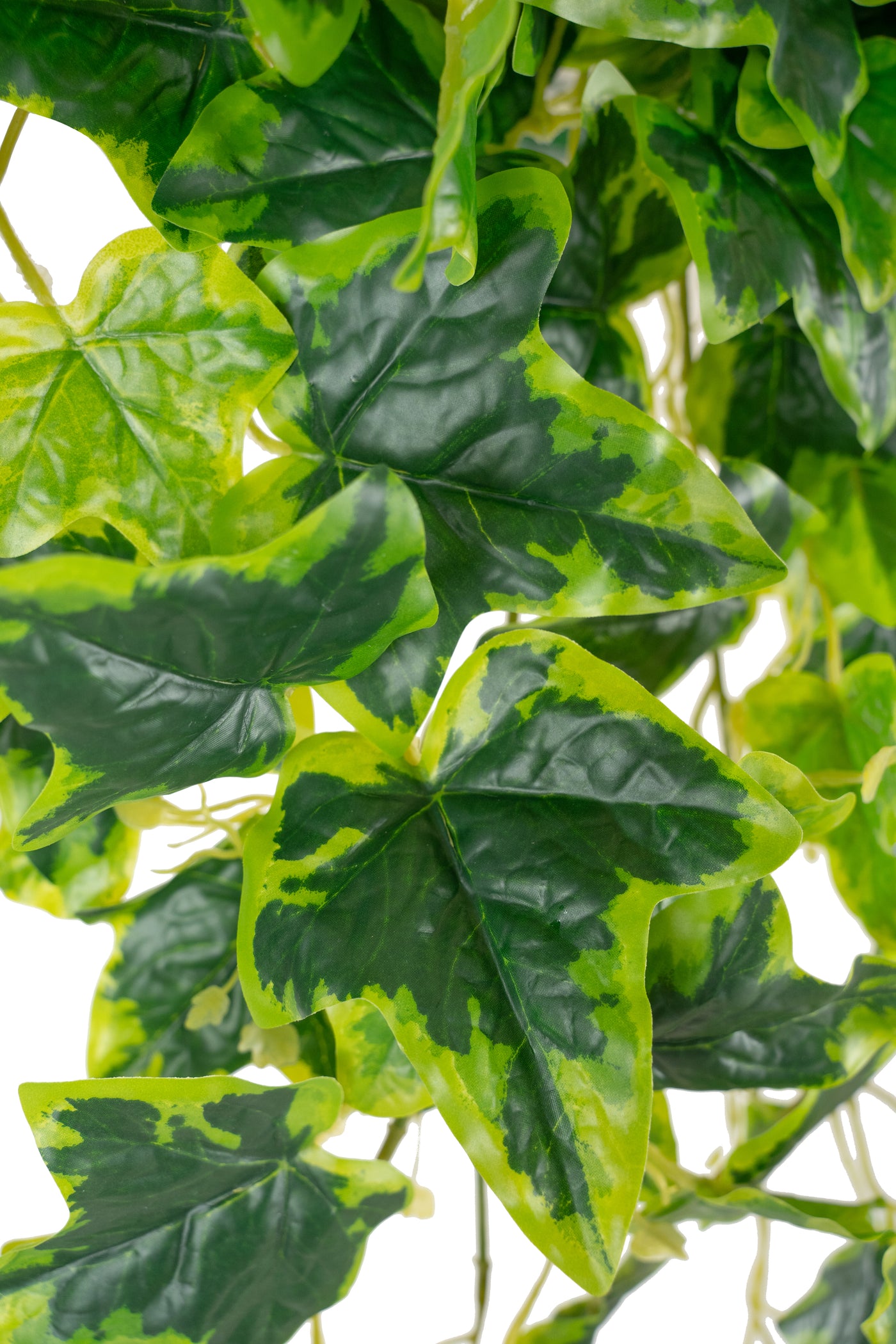 Iedera artificiala H75cm cu frunze verde cu galben pentru exterior cu protectie UV