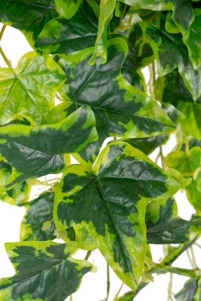 Iedera artificiala H75cm cu frunze verde cu galben pentru exterior cu protectie UV