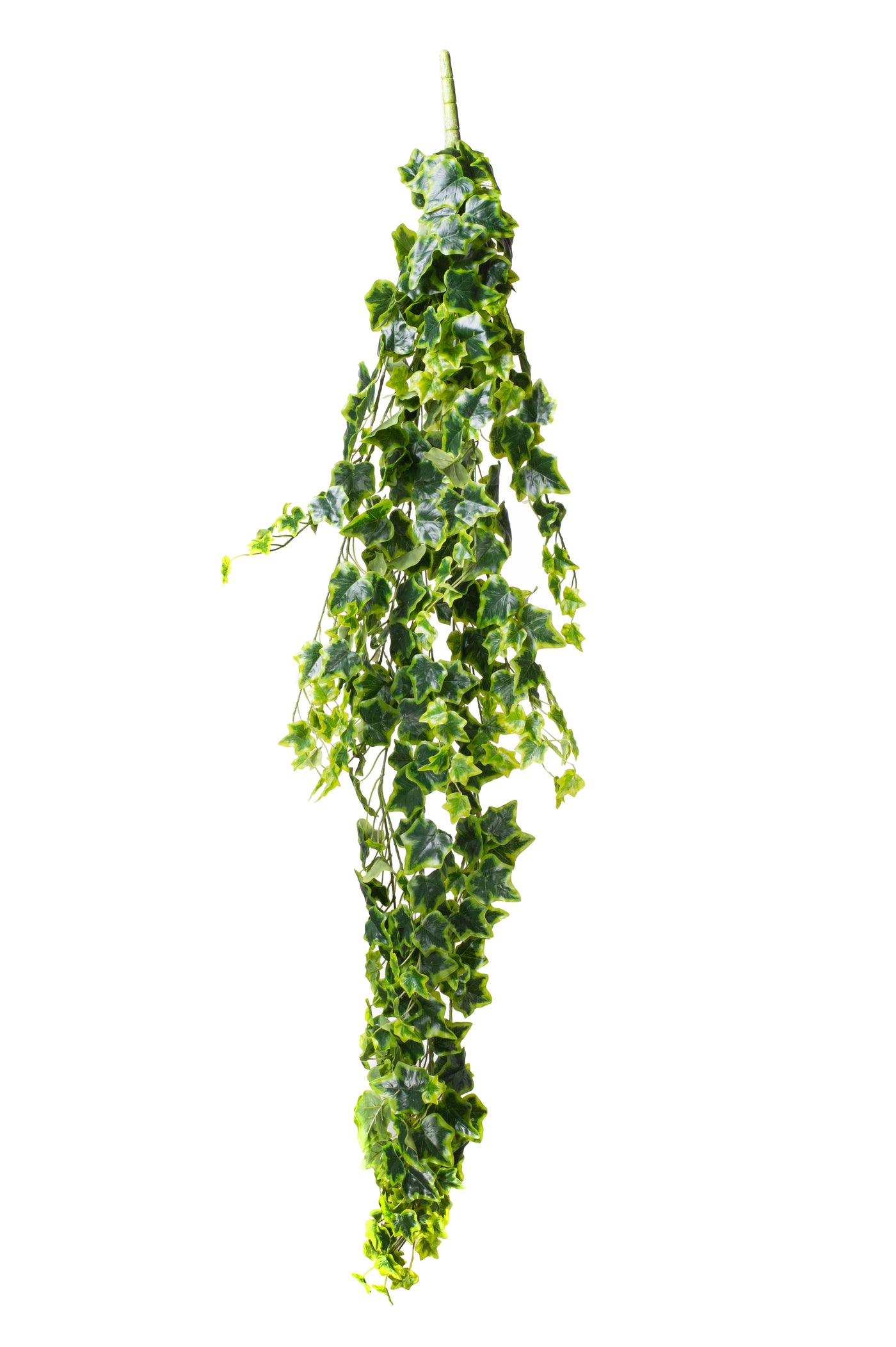 Iedera artificiala H120cm cu frunze verde cu galben pentru exterior cu protectie UV
