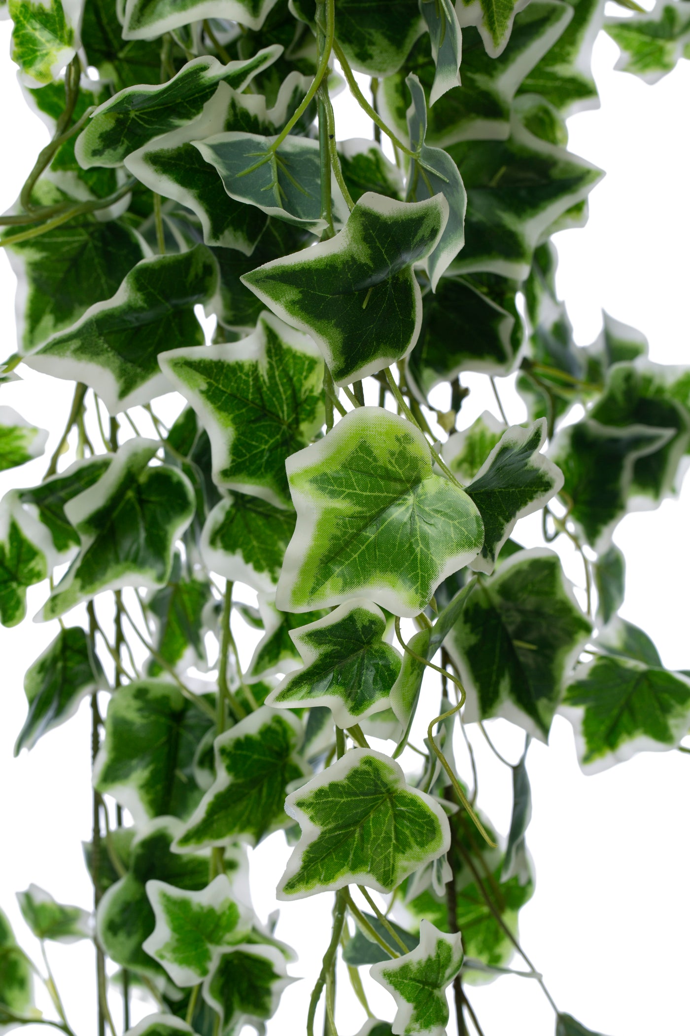 Iedera artificiala H160cm cu frunze verde cu alb pentru exterior cu protectie UV