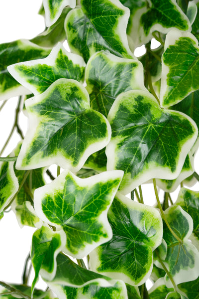 Iedera artificiala H80cm cu frunze verde cu alb pentru exterior cu protectie UV