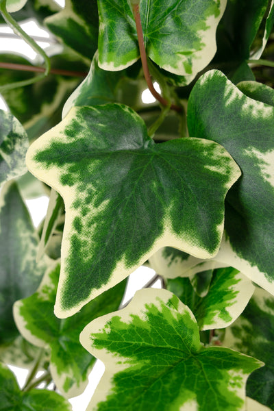 Iedera artificiala H70cm cu 202 frunze verde cu alb