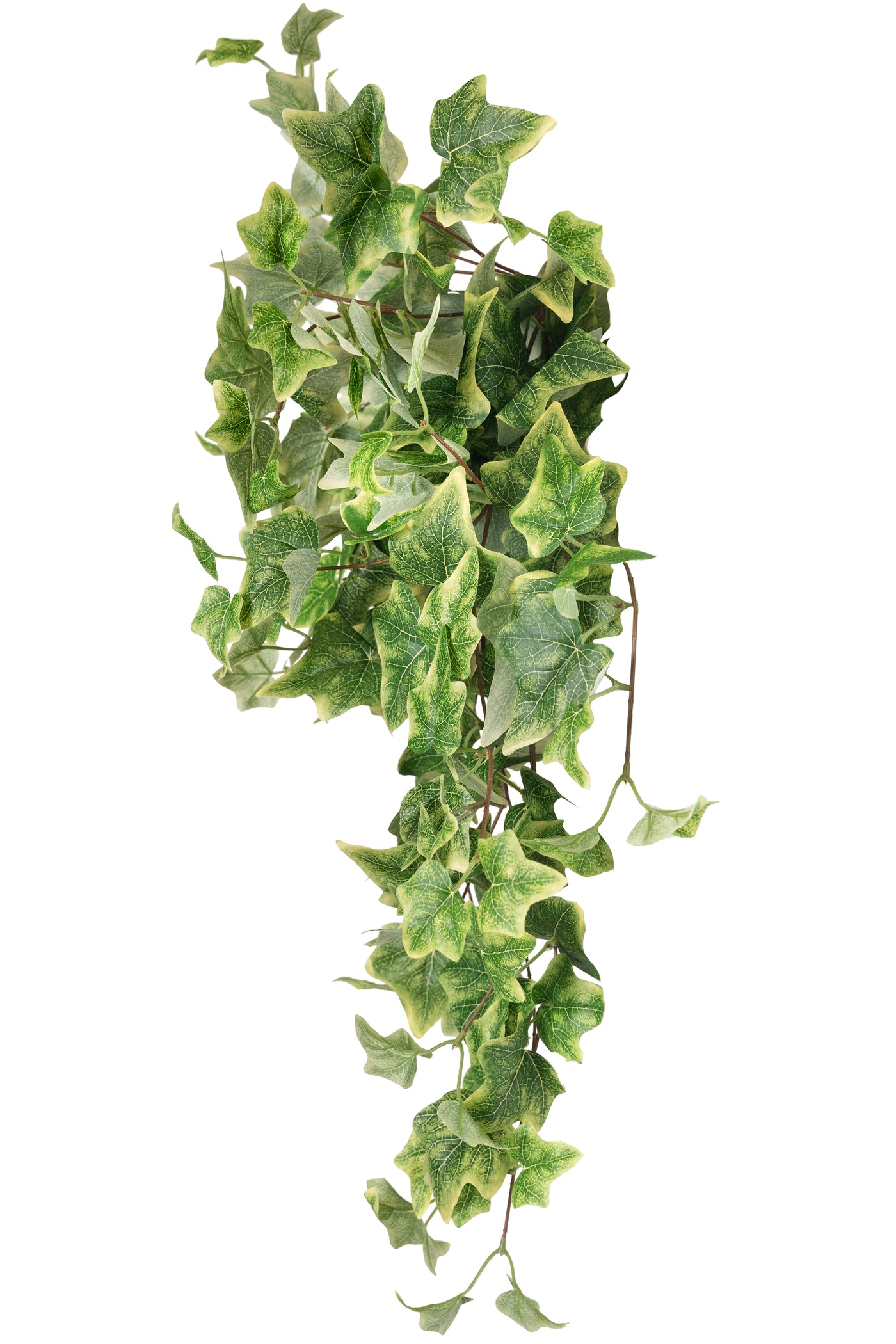 Iedera artificiala H70cm cu 202 frunze verde cu crem