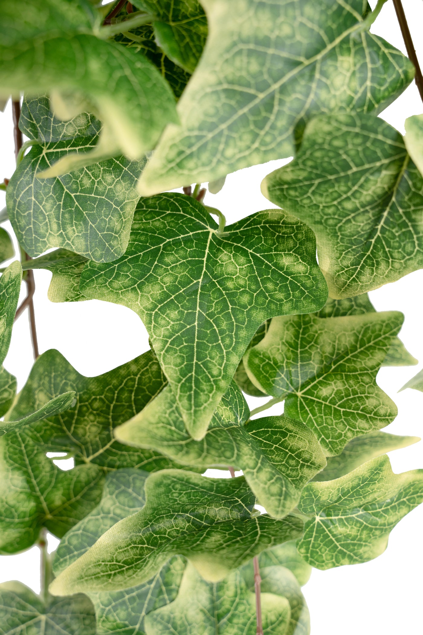 Iedera artificiala H70cm cu 202 frunze verde cu crem