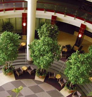 Indicator al nivelului de apa extra 60 cm