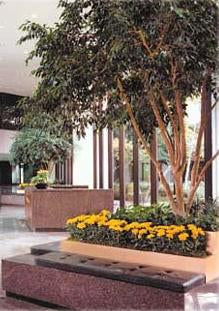 Indicator al nivelului de apa extra 60 cm