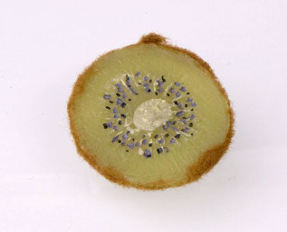 Fruct artificial Kiwi felie D6 cm